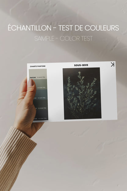 OLEKA CANVAS - SOUS-BOIS, Oeuvre sur toile étirée, encadré Noir