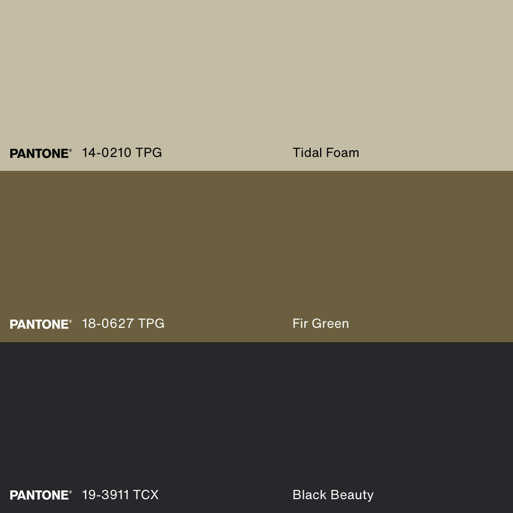 TRACE OF TIME, Artwork on stretched canvas, framed Natural Light