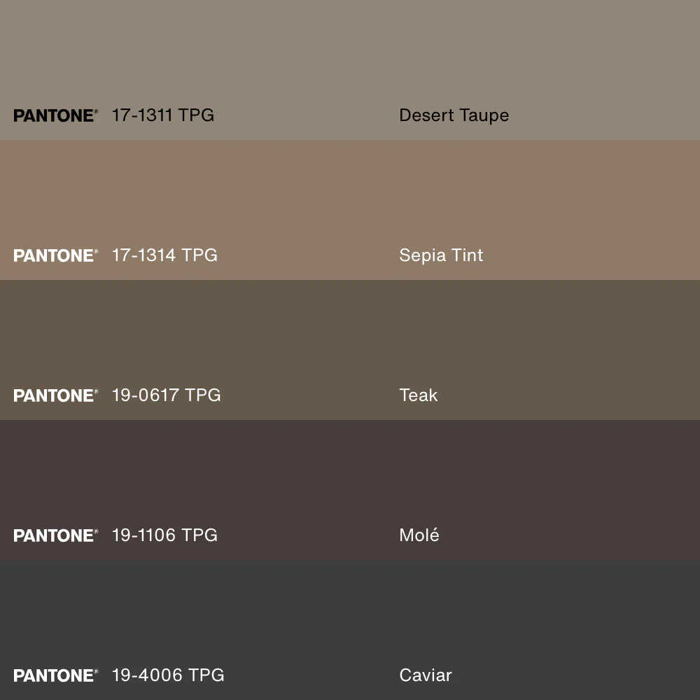 HAZY WOODS, Oeuvre sur toile étirée, encadré Brun Noyer