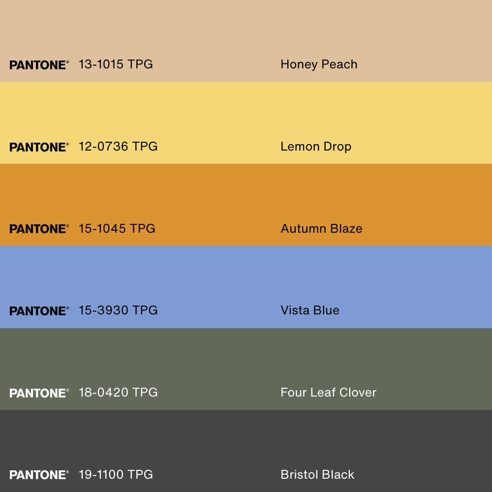 FLORAISON D'AGRUMES, Artwork on stretched canvas, framed Natural Light