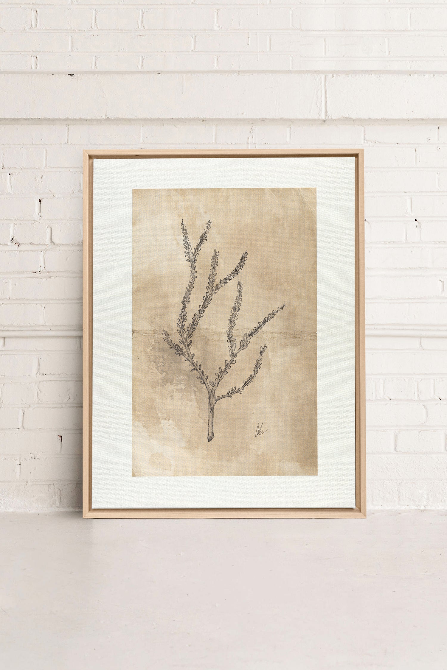 BLOOMING FLOWER I, Oeuvre sur toile étirée, encadré Naturel Clair