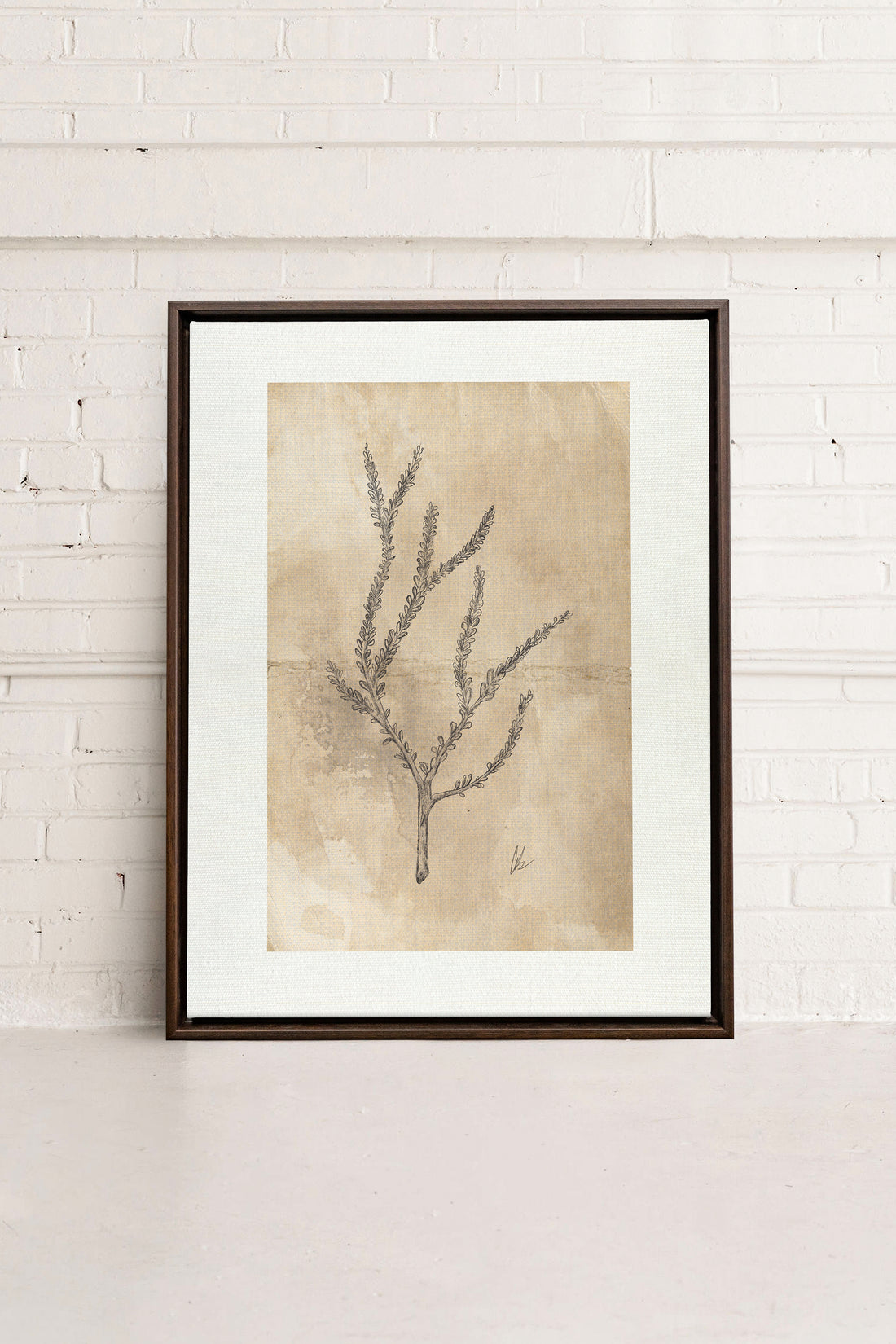 BLOOMING FLOWER I, Artwork on stretched canvas, framed in Walnut Brown