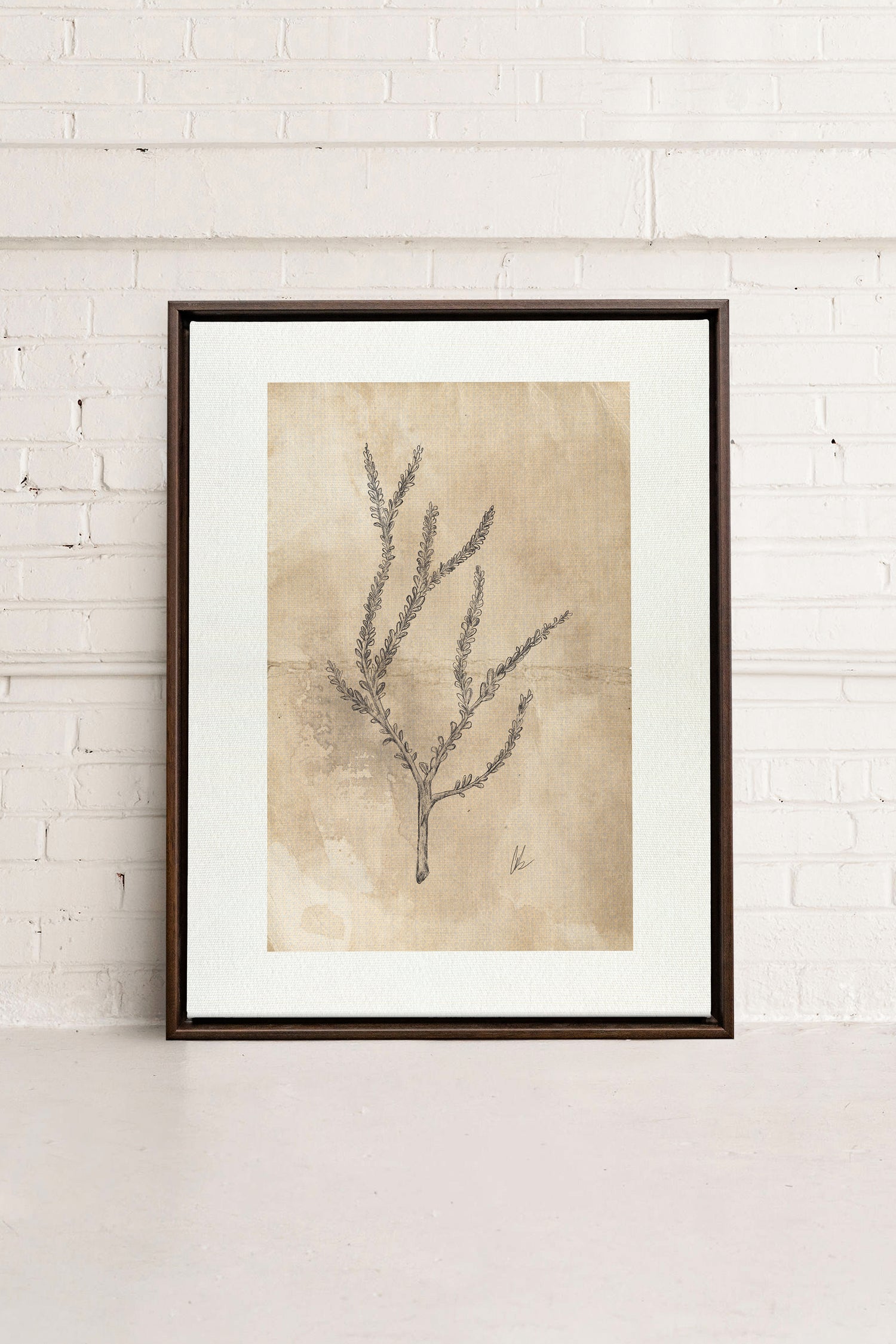 BLOOMING FLOWER I, Artwork on stretched canvas, framed in Walnut Brown