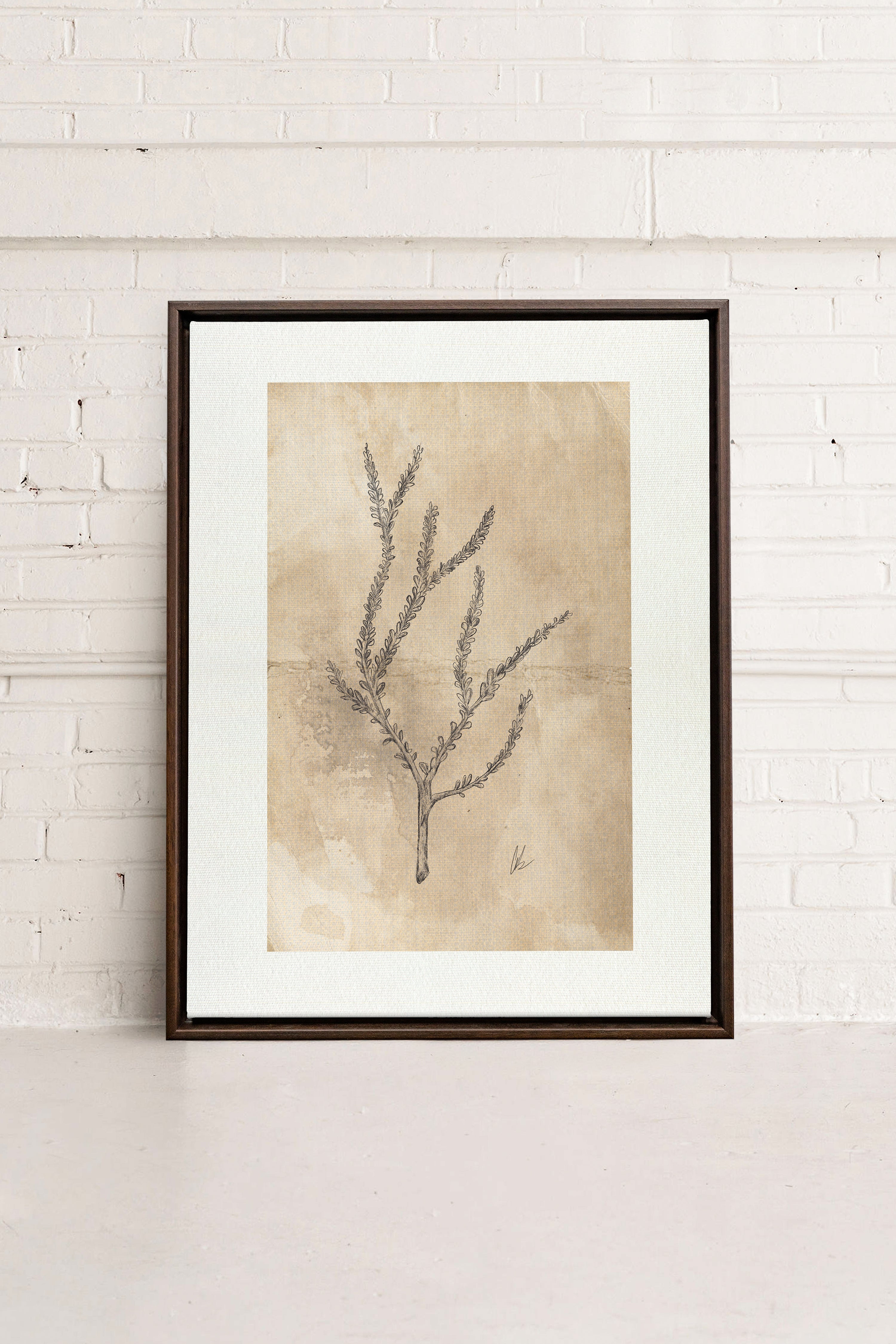 BLOOMING FLOWER I, Artwork on stretched canvas, framed in Walnut Brown