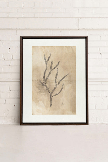 BLOOMING FLOWER I, Artwork on stretched canvas, framed in Walnut Brown