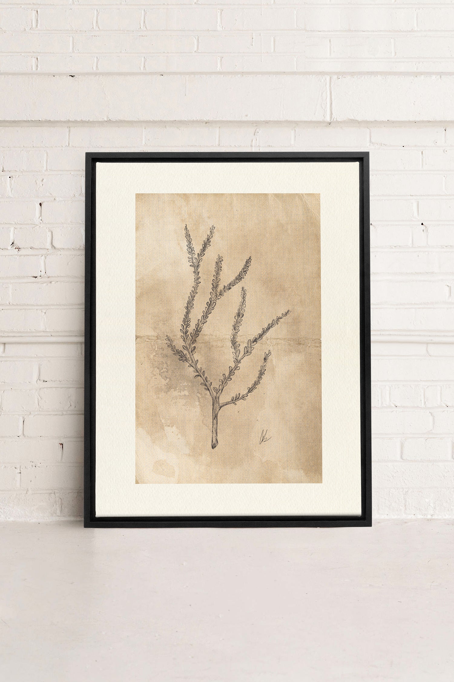 BLOOMING FLOWER I, Oeuvre sur toile étirée, encadré Noir