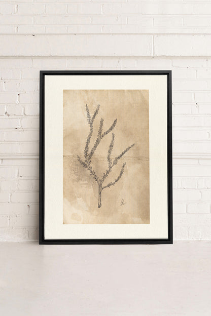 BLOOMING FLOWER I, Oeuvre sur toile étirée, encadré Noir