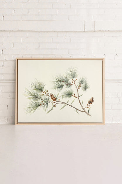 Conifer Branch, Artwork on stretched canvas, framed Natural Light