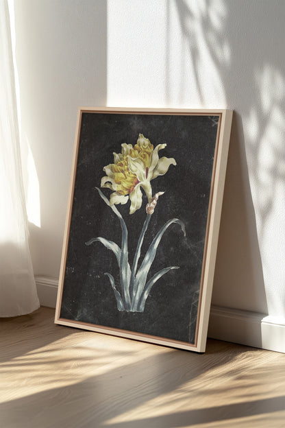 PRECIOUS FLORA, Work on stretched canvas, framed Naturel Clair