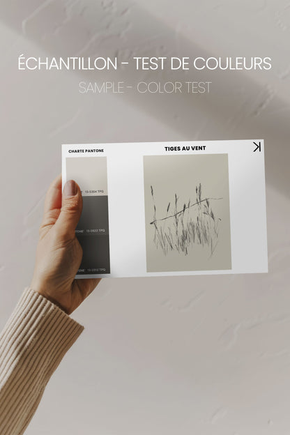 OLEKA CANVAS - TIGES AUX VENT, Oeuvre sur toile étirée, encadré Blanc