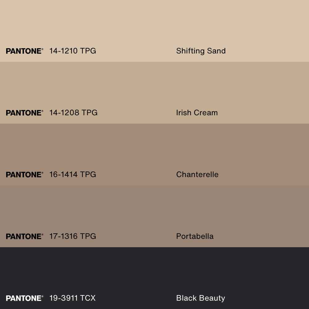 FLIGHT OF LIGHT, Oeuvre sur toile étirée, encadré Noir