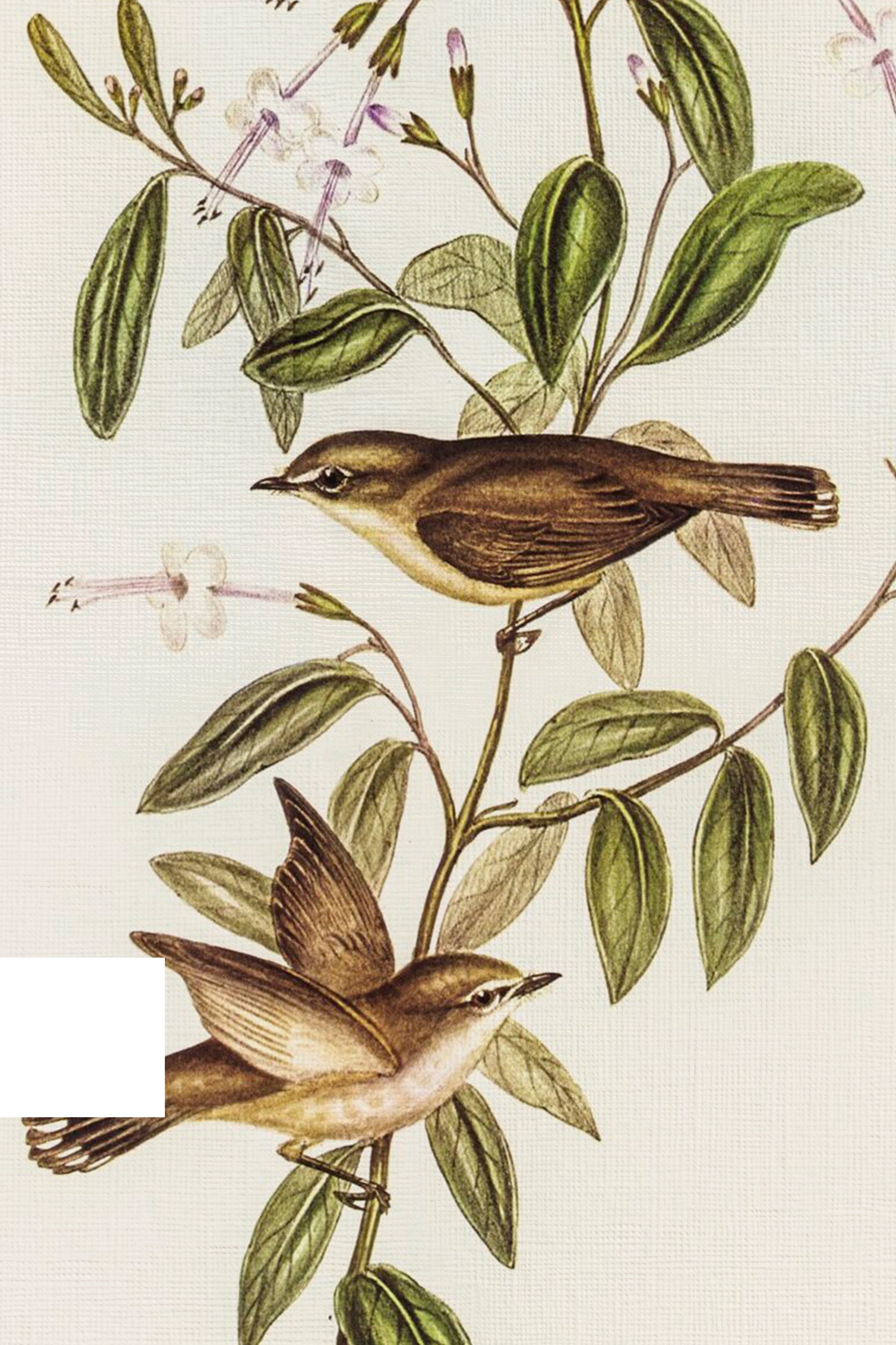 ÉVEIL PRINTANIER, Artwork on rigid canvas, framed Vintage Silver