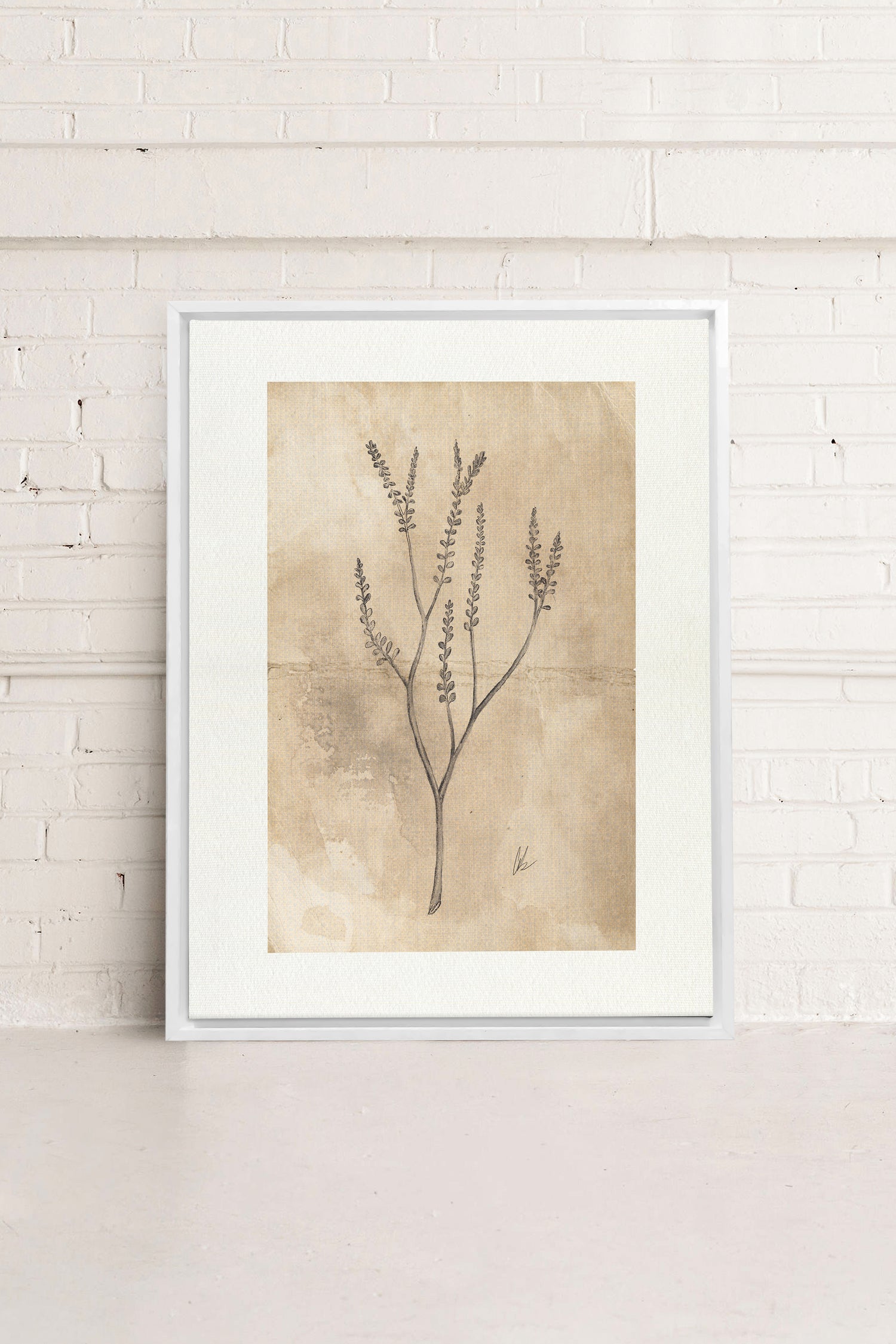 BLOOMING FLOWER II, Oeuvre sur toile étirée, encadré Blanc