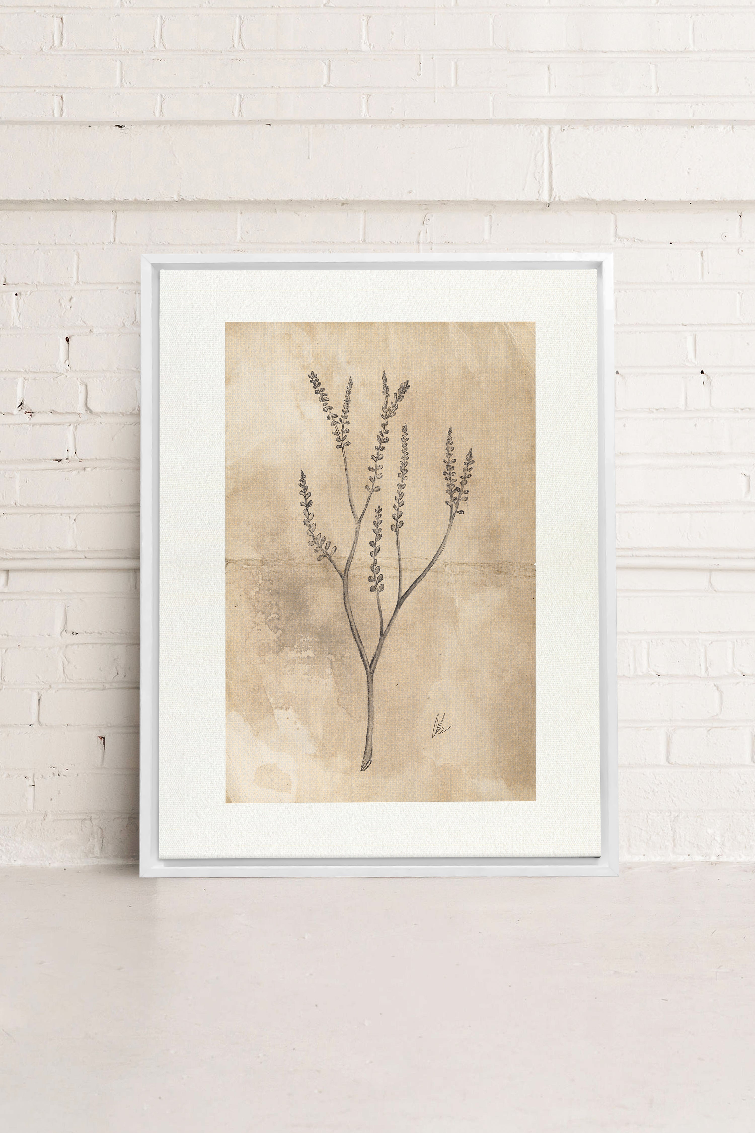 BLOOMING FLOWER II, Oeuvre sur toile étirée, encadré Blanc