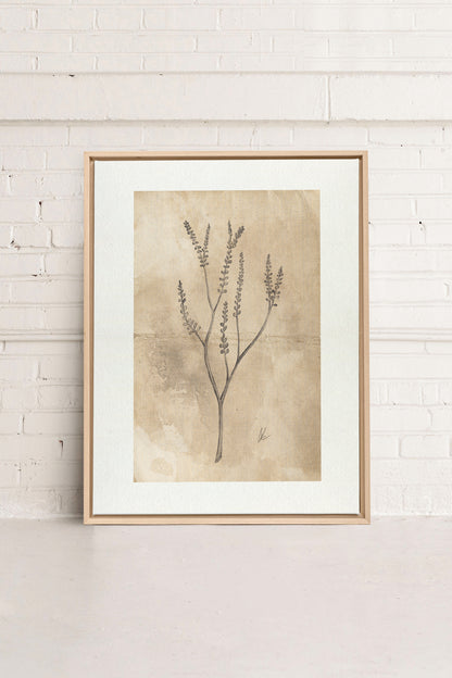 BLOOMING FLOWER II, Oeuvre sur toile étirée, encadré Naturel Clair