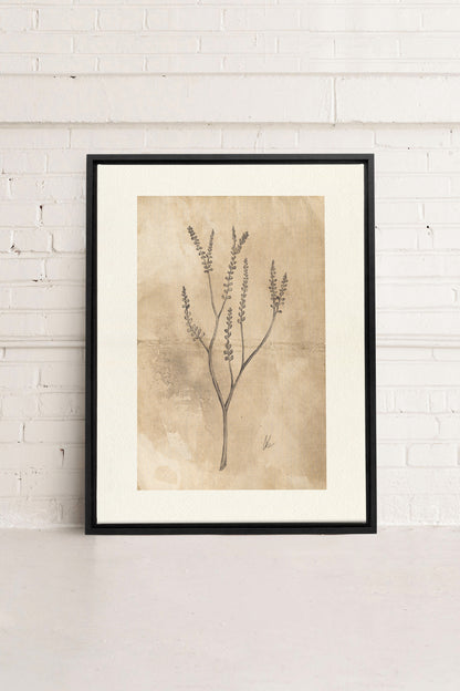 BLOOMING FLOWER II, Oeuvre sur toile étirée, encadré Noir