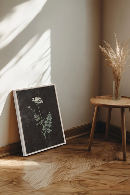 DENTELLE SAUVAGE, Work on stretched canvas, framed White