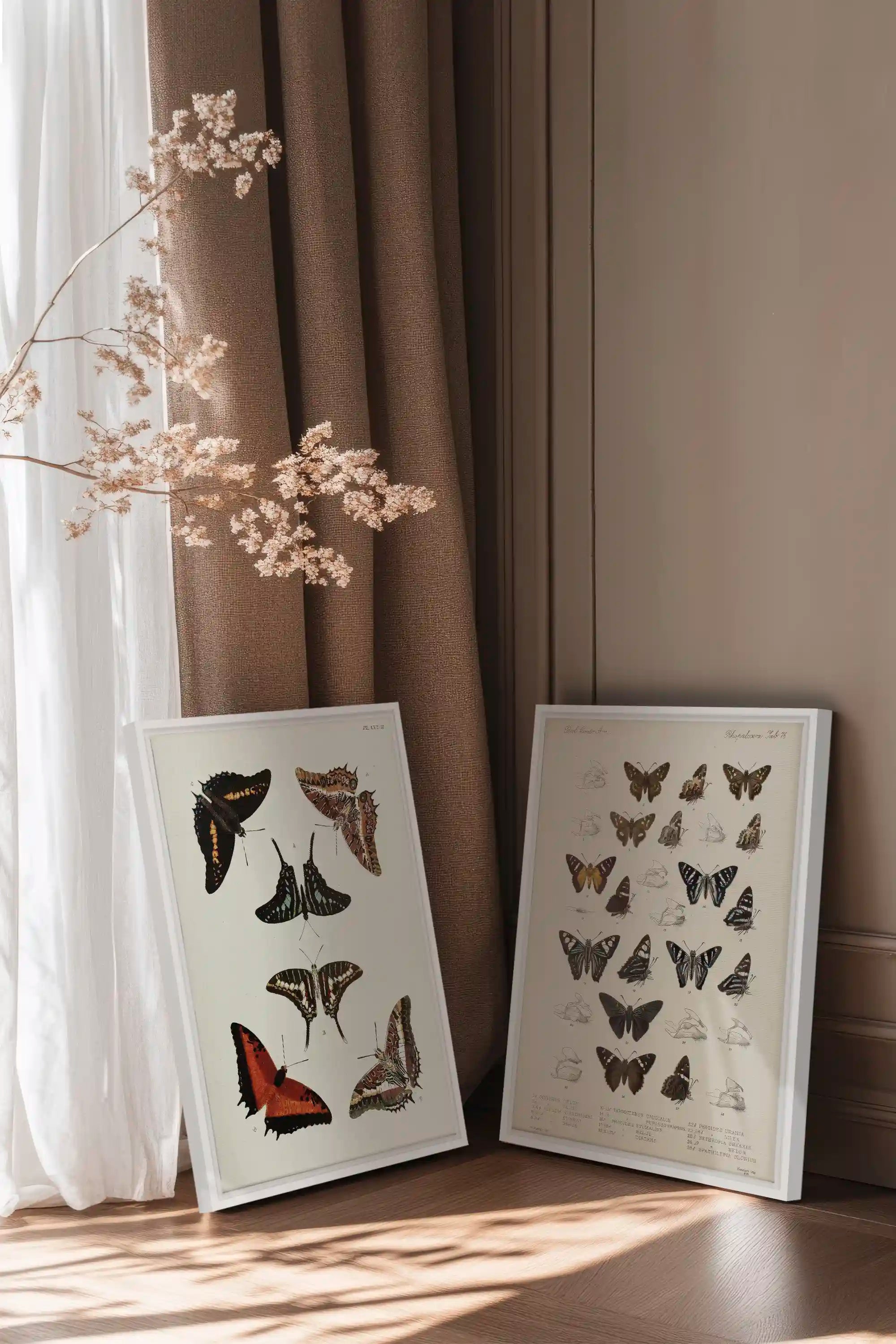 DUO BOTANICAL TREASURE, 2 Works on stretched canvas, framed White