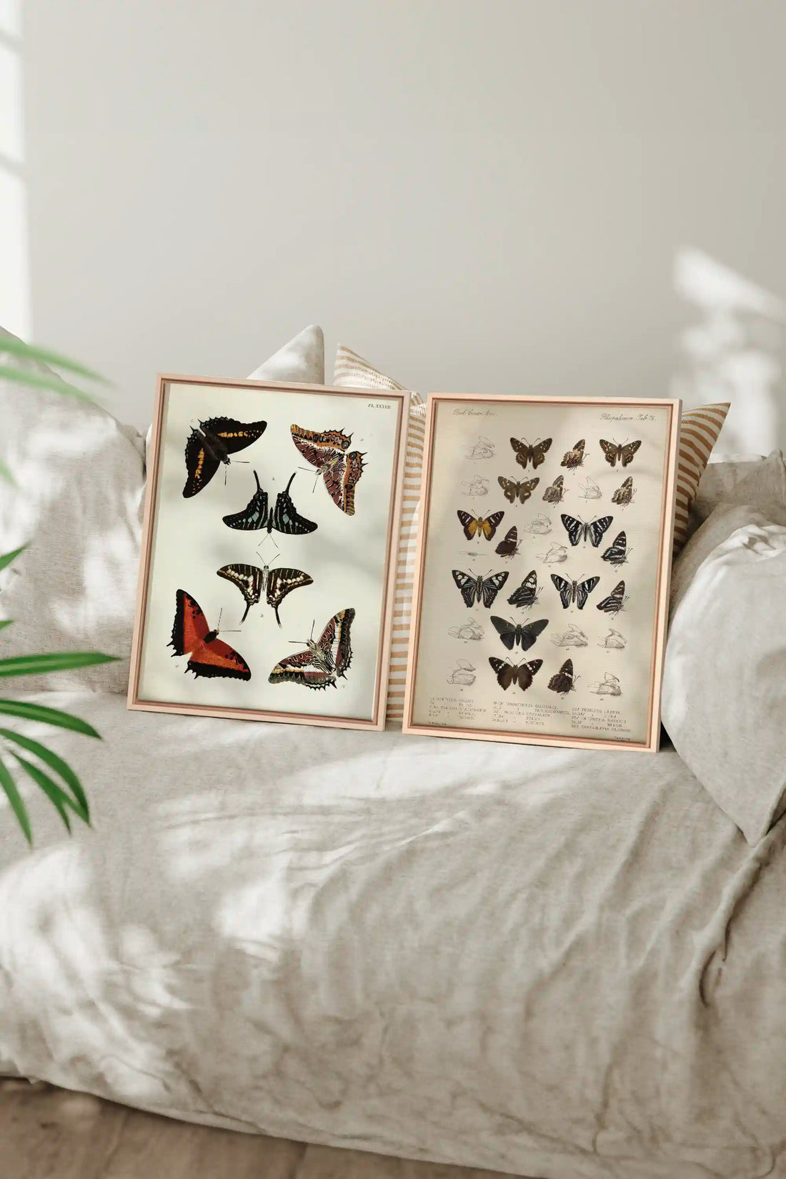 DUO BOTANICAL TREASURE, 2 Works on stretched canvas, framed Naturel Clair