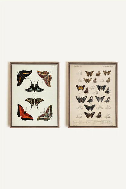 DUO TRÉSOR BOTANIQUE, 2 Oeuvres sur toile étirée, encadré Brun Chêne