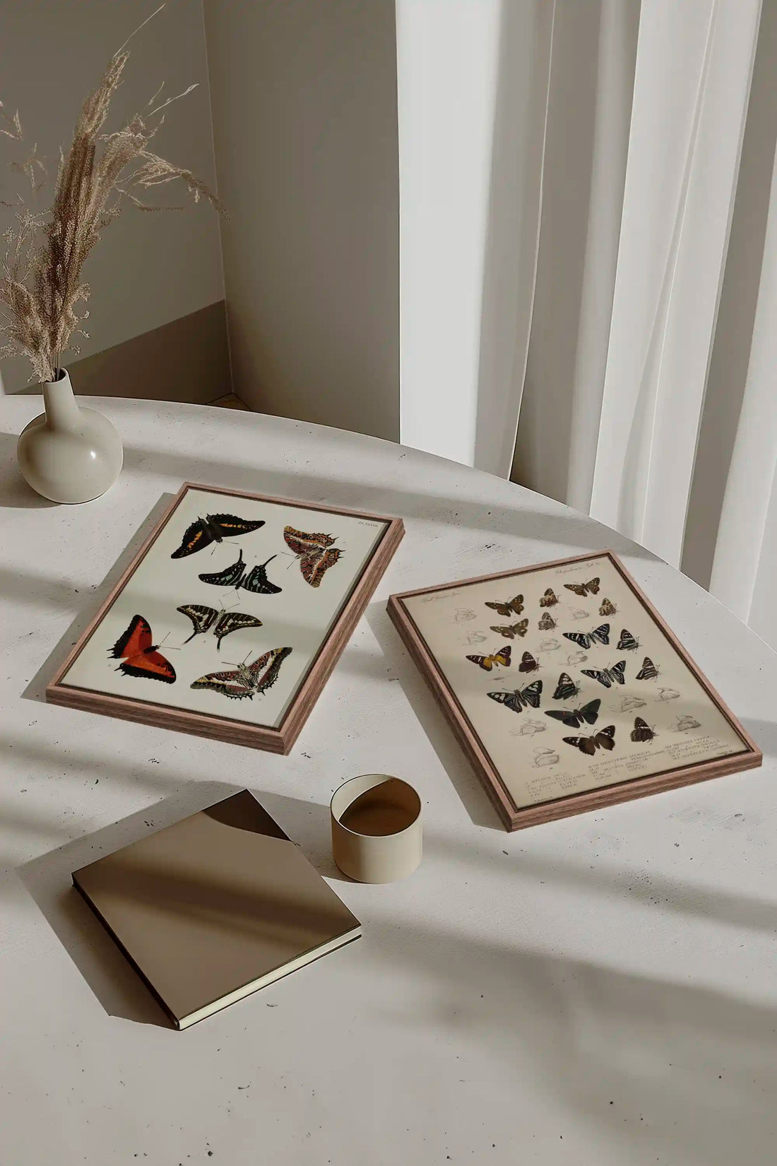 DUO BOTANICAL TREASURE, 2 Works on stretched canvas, framed Oak Brown