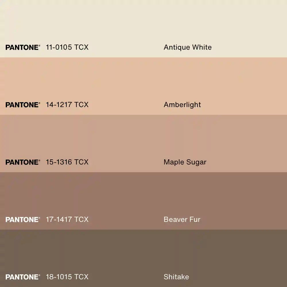 ECHO TERRACOTTA, Work on stretched canvas, framed Oak Brown