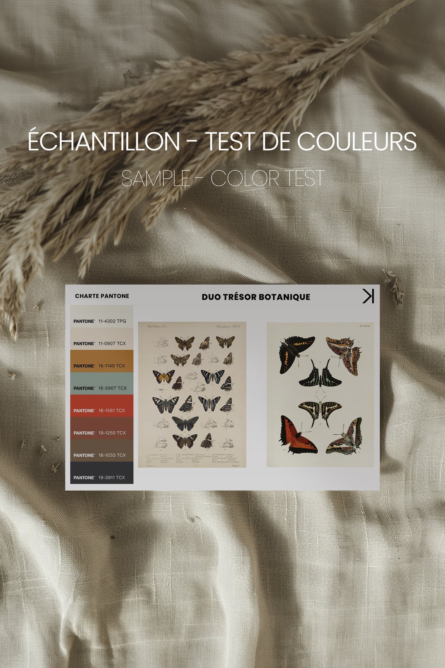 DUO TRÉSOR BOTANIQUE, 2 Oeuvres sur toile étirée, encadré Brun Chêne