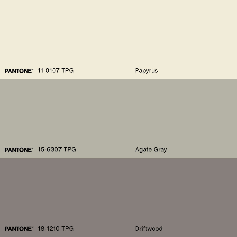 SACRED REMAINS, Oeuvre sur toile étirée, encadré Naturel Clair