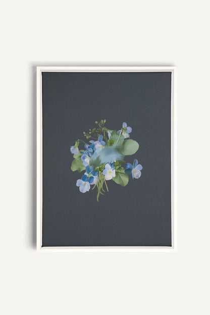 VIOLETTES MACULEES, Stretched Canvas Artwork, framed White