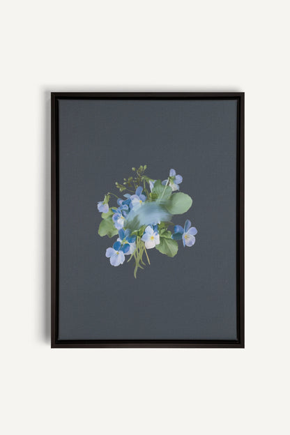 VIOLETTES MACULEES, Stretched Canvas Artwork, framed Black