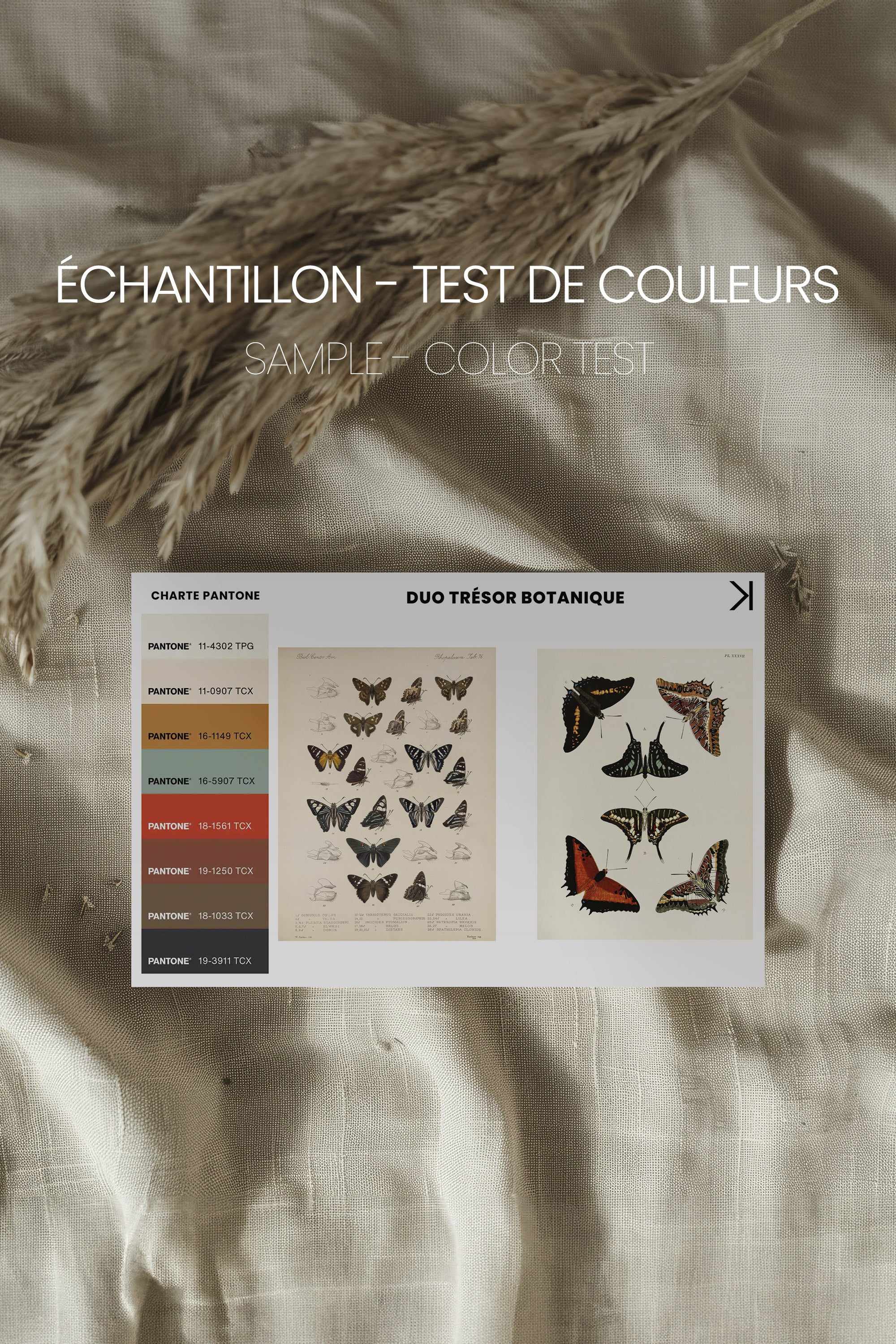 DUO TRÉSOR BOTANIQUE, 2 Oeuvres sur toile étirée, encadré Noir