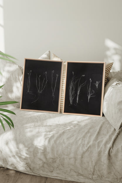 DUO TRACES DE VIE, 2 Oeuvres sur toile étirée, encadré Naturel Clair