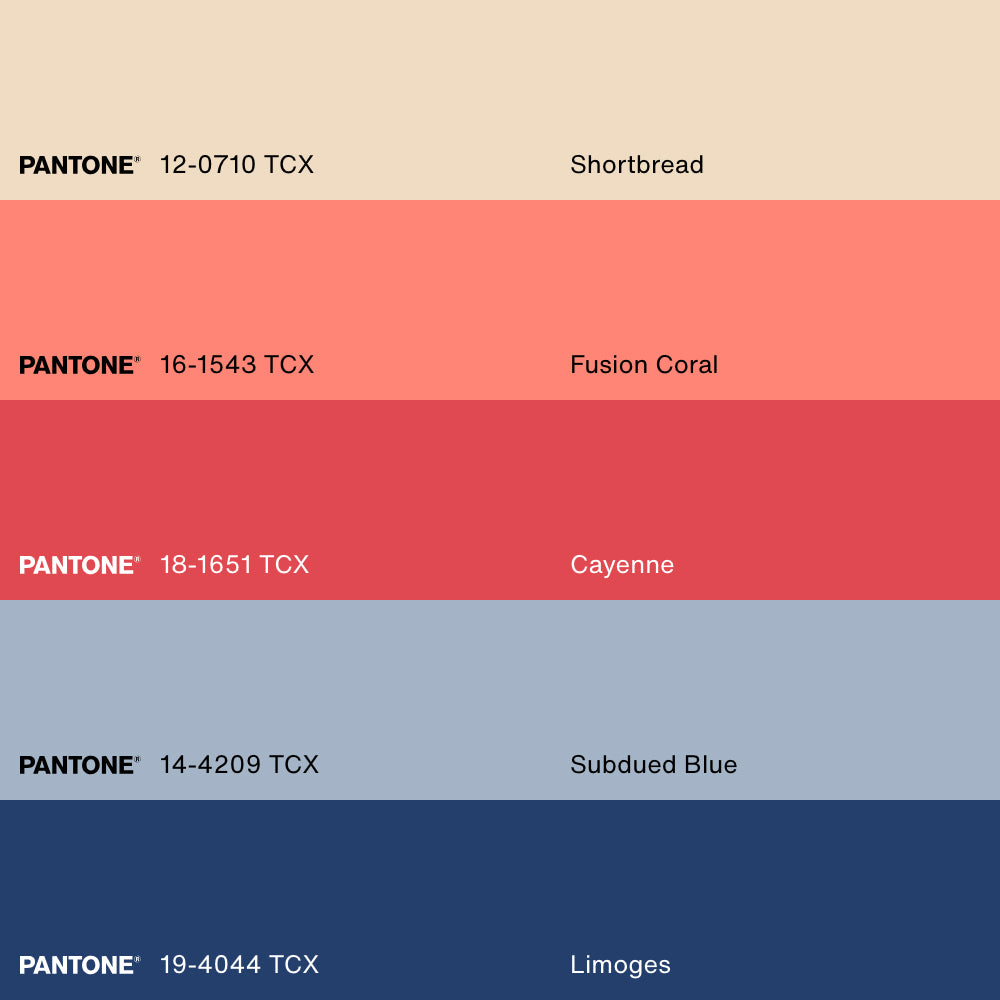 SARDINES, Artwork on stretched canvas, framed Natural Light