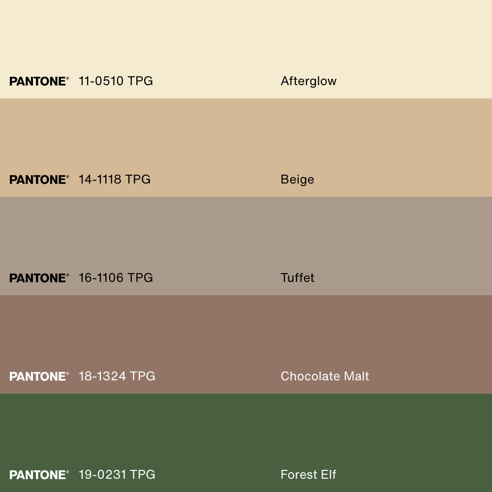 BEIGE PETALS, Oeuvre sur toile étirée, encadré Naturel Clair