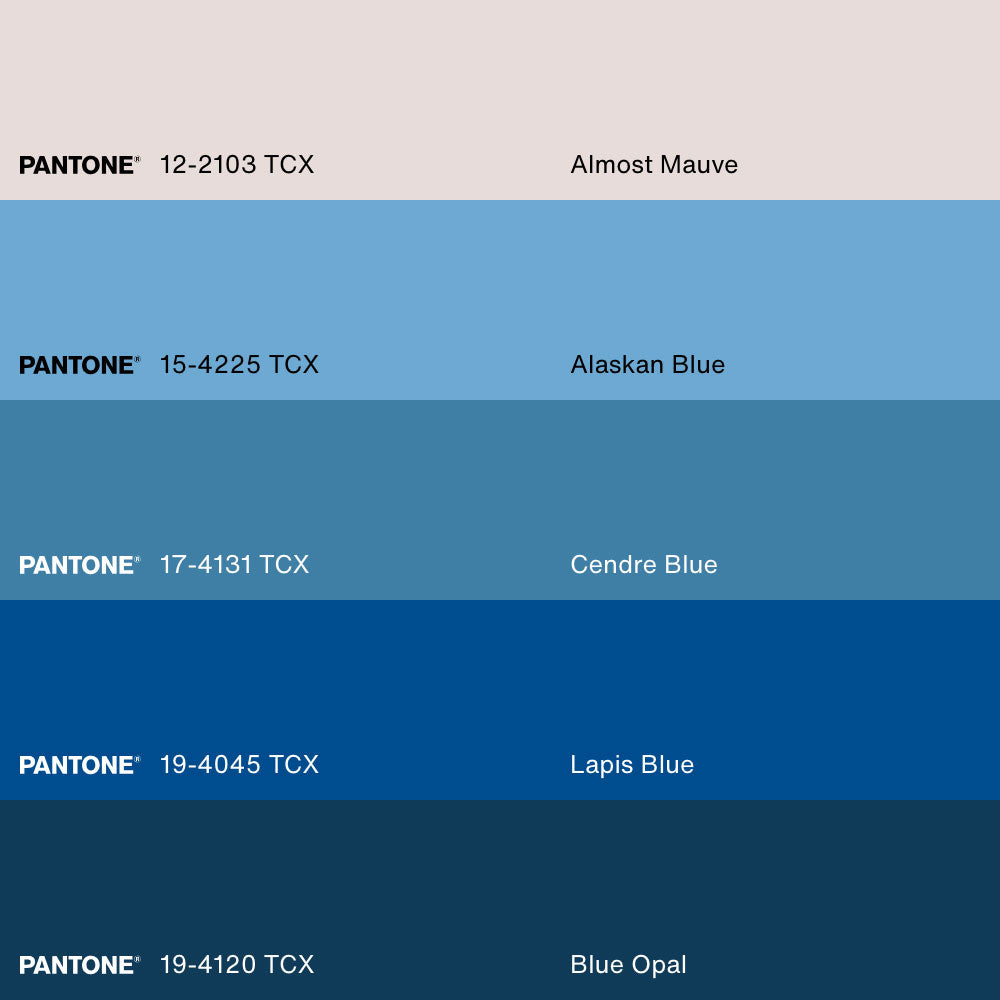 IRIS FLOWERS, Artwork on stretched canvas, framed in Brown Oak