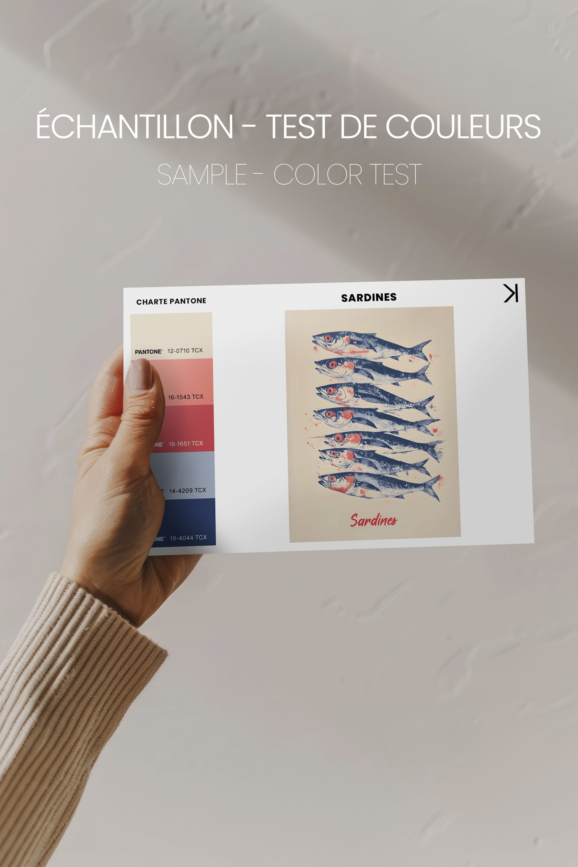 OLEKA CANVAS - SARDINES, Oeuvre sur toile étirée, encadré Noir