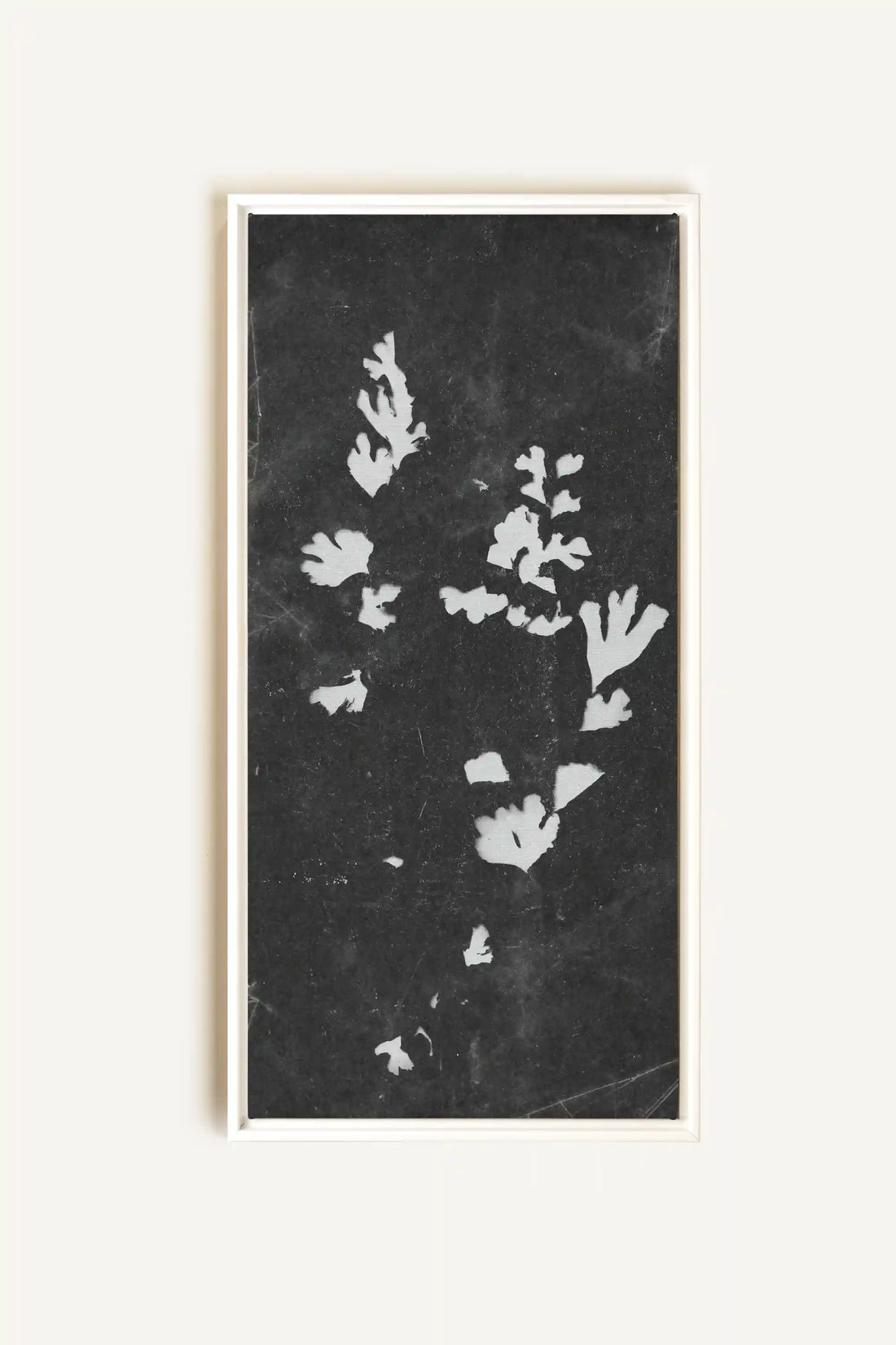 GHOST LEAVES, Work on stretched canvas, framed White