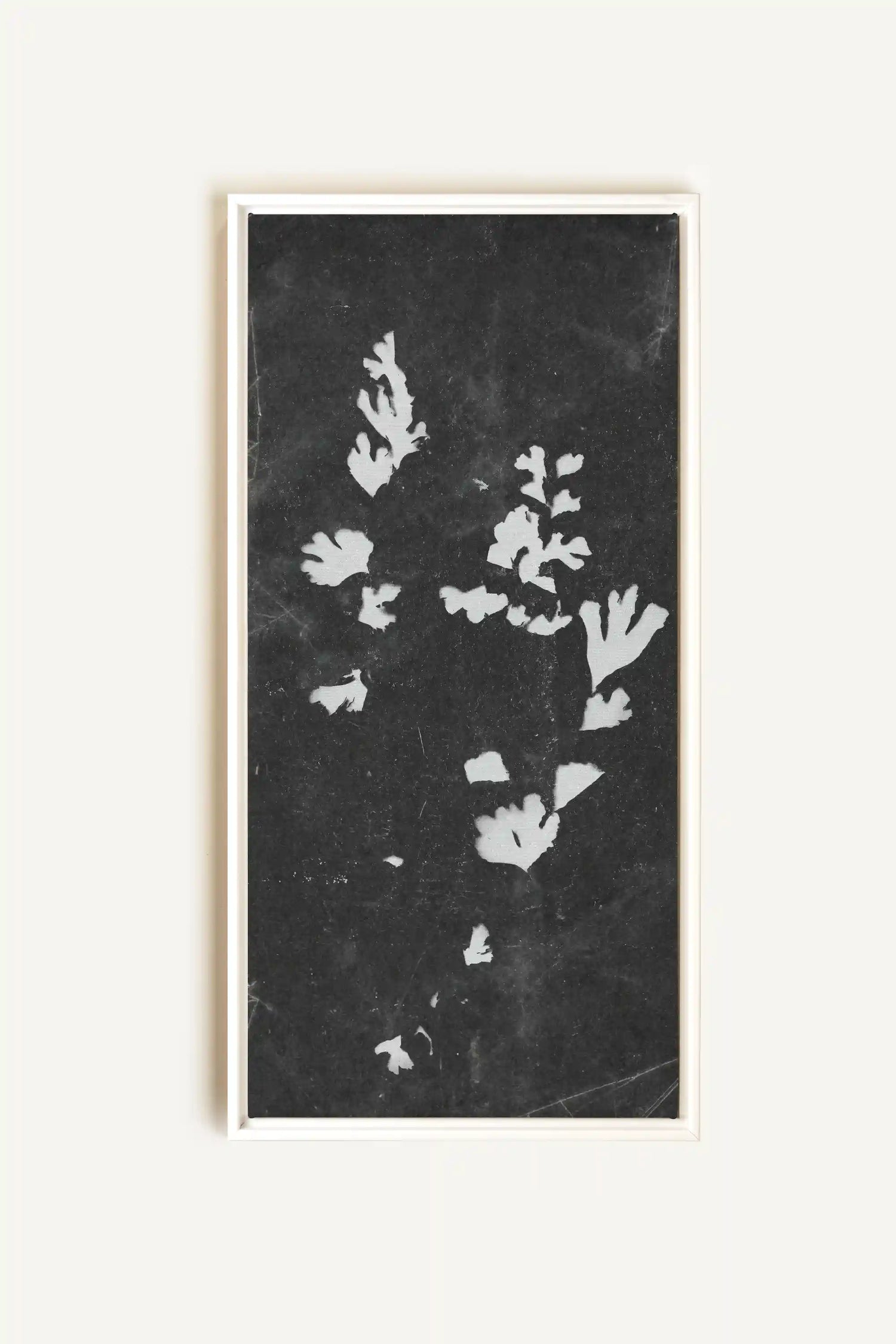 GHOST LEAVES, Work on stretched canvas, framed White