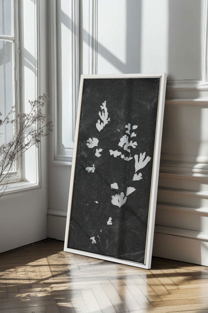 GHOST LEAVES, Work on stretched canvas, framed White