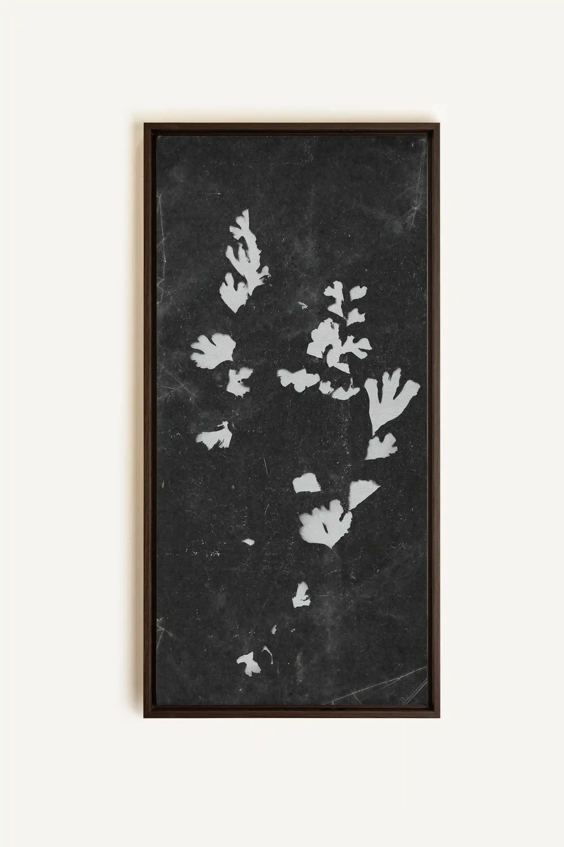 GHOST LEAVES, Oeuvre sur toile étirée, encadré Brun Noyer