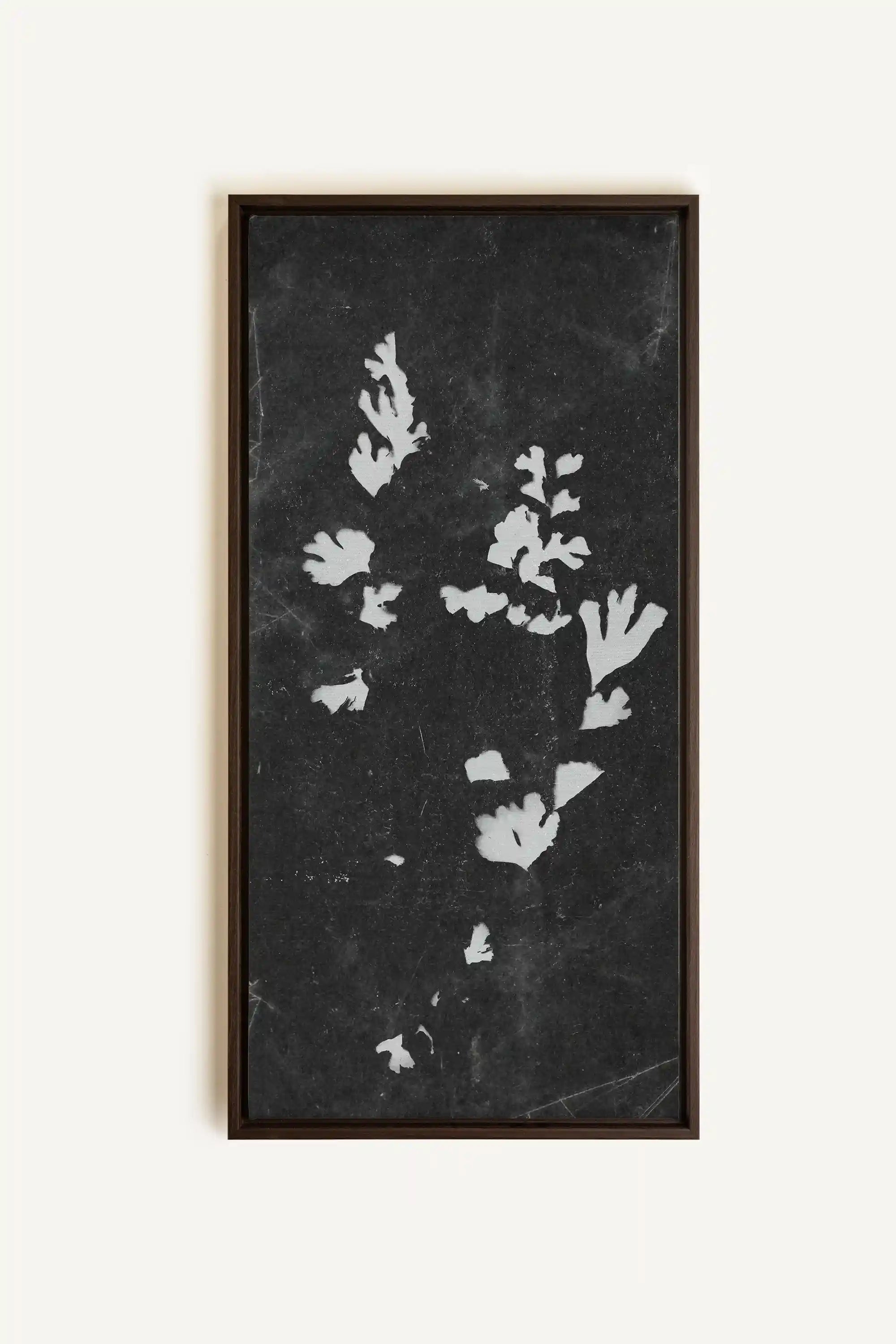 GHOST LEAVES, Oeuvre sur toile étirée, encadré Brun Noyer