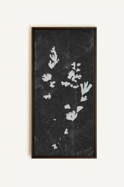 GHOST LEAVES, Oeuvre sur toile étirée, encadré Brun Noyer