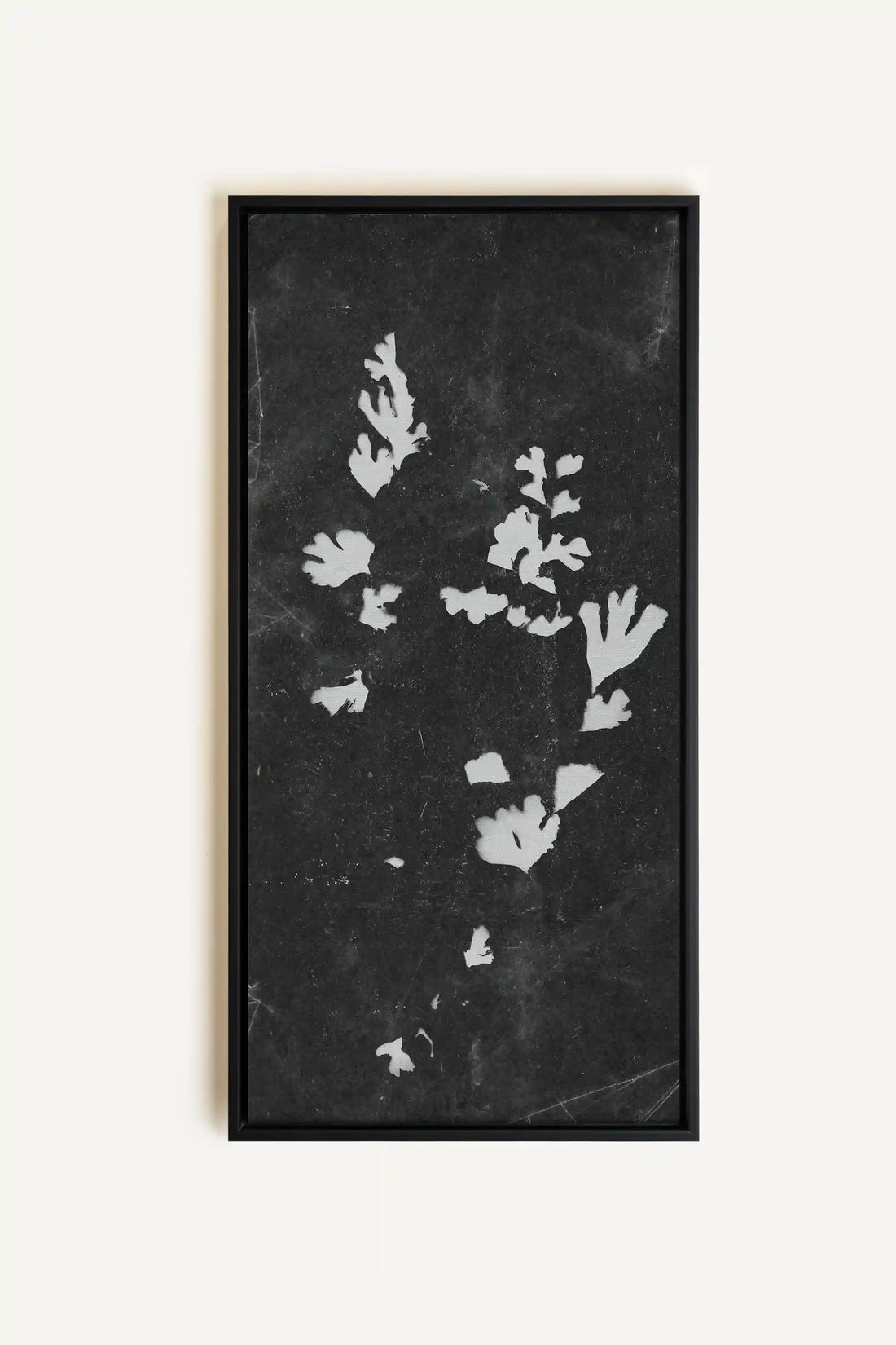 GHOST LEAVES, Work on stretched canvas, framed Black