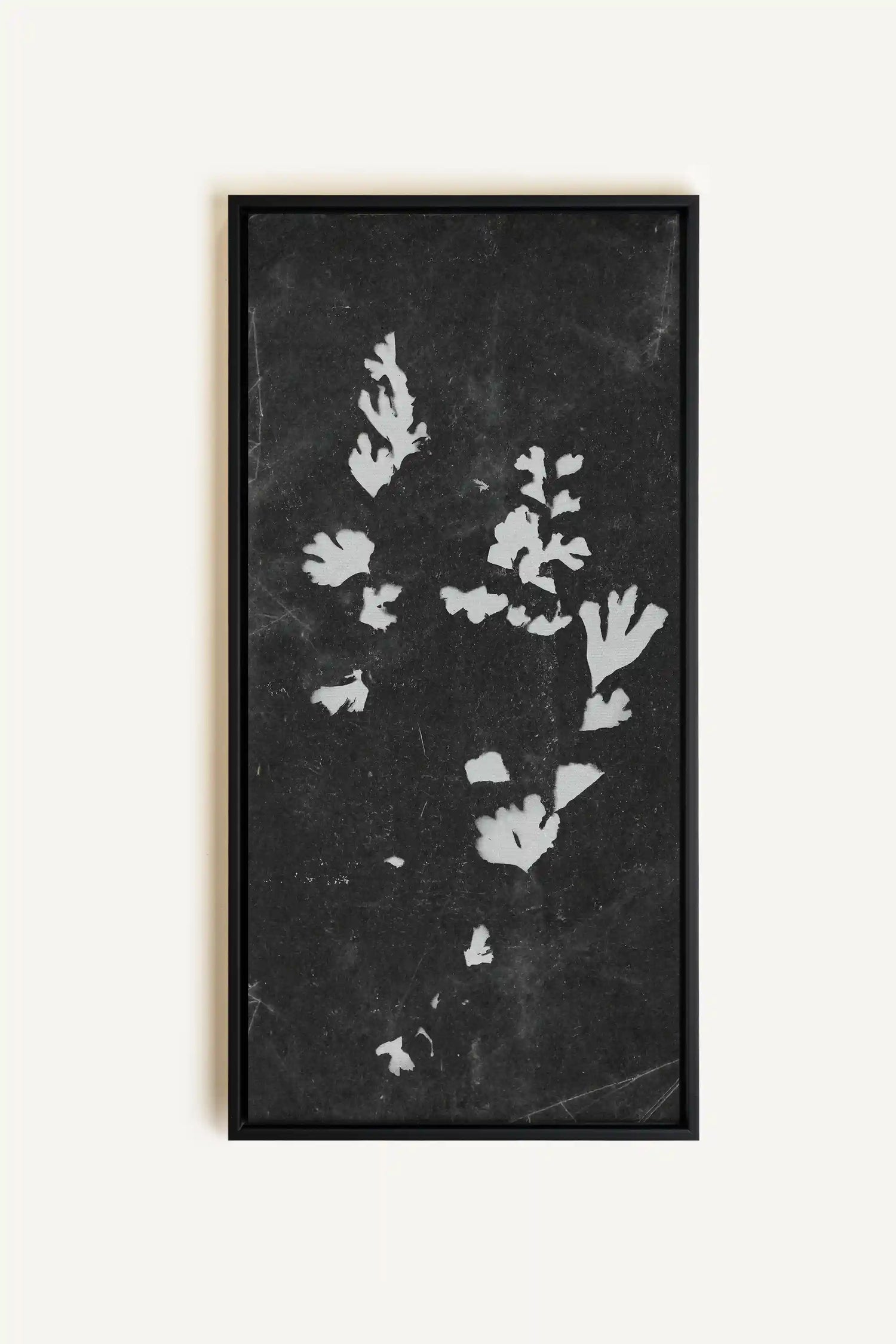 GHOST LEAVES, Work on stretched canvas, framed Black