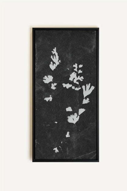 GHOST LEAVES, Work on stretched canvas, framed Black