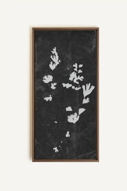 GHOST LEAVES, Work on stretched canvas, framed Oak Brown