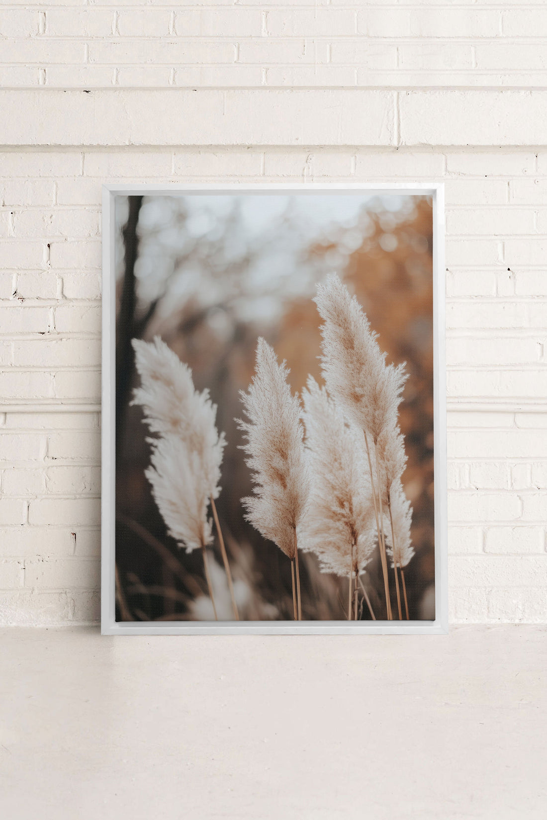 OLEKA CANVAS - GOLDEN FEATHER, Oeuvre sur toile étirée, encadré Blanc