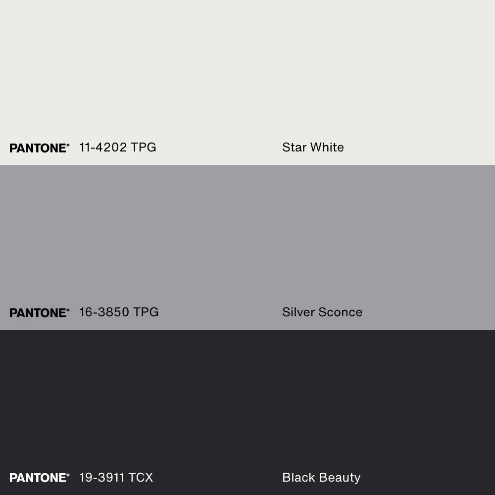 SILENT PULSE, Oeuvre sur toile étirée, encadré Noir