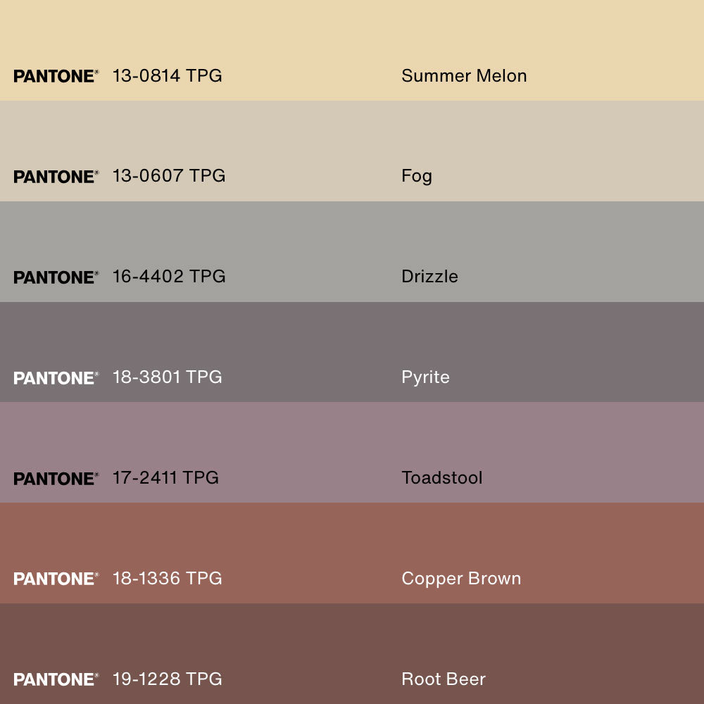 HORIZON DES MONTS, Oeuvre sur toile étirée, encadré Brun Noyer