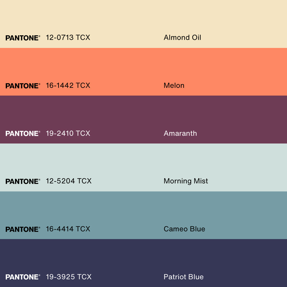 SUMMER HOOPS, Oeuvre sur toile étirée, encadré Naturel Clair